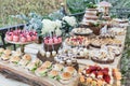 Table decorated with desserts, snacks and cake - wedding reception for event guests Royalty Free Stock Photo
