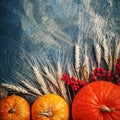 A table decorated with pumpkins, Harvest Festival,Happy Thanksgiving. Royalty Free Stock Photo
