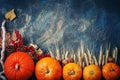 A table decorated with pumpkins, Harvest Festival,Happy Thanksgiving. Royalty Free Stock Photo