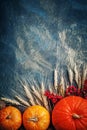 A table decorated with pumpkins, Harvest Festival,Happy Thanksgiving. Royalty Free Stock Photo