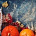 A table decorated with pumpkins, Harvest Festival,Happy Thanksgiving. Royalty Free Stock Photo