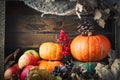 A table decorated with pumpkins, Harvest Festival,Happy Thanksgiving. Royalty Free Stock Photo