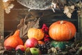 A table decorated with pumpkins, Harvest Festival,Happy Thanksgiving. Royalty Free Stock Photo