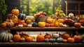 A table is decorated with several pumpkin types, exhibiting the vivid colors and varied shapes that make fall such a beautiful