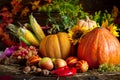 The table, decorated with vegetables and fruits. Harvest Festival. Happy Thanksgiving. Autumn background. Selective Royalty Free Stock Photo