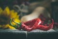 The table, decorated with vegetables and fruits. Harvest Festival,Happy Thanksgiving. Autumn background. Selective focus Royalty Free Stock Photo