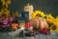 The table, decorated with vegetables and fruits. Harvest Festival,Happy Thanksgiving. Autumn background. Selective focus Royalty Free Stock Photo