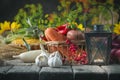 The table, decorated with vegetables and fruits. Harvest Festival,Happy Thanksgiving. Autumn background. Selective focus Royalty Free Stock Photo