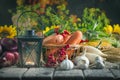 The table, decorated with vegetables and fruits. Harvest Festival,Happy Thanksgiving. Autumn background. Selective focus Royalty Free Stock Photo