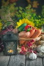 The table, decorated with vegetables and fruits. Harvest Festival,Happy Thanksgiving. Autumn background. Selective focus Royalty Free Stock Photo