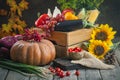 The table, decorated with vegetables, pumpkins and fruits. Harvest Festival,Happy Thanksgiving. Autumn background Royalty Free Stock Photo