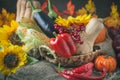 The table, decorated with vegetables, pumpkins and fruits. Harvest Festival,Happy Thanksgiving. Autumn background Royalty Free Stock Photo