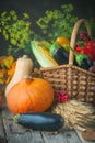 The table, decorated with vegetables, pumpkins and fruits. Harvest Festival,Happy Thanksgiving. Autumn background Royalty Free Stock Photo