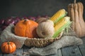 The table, decorated with vegetables, pumpkins and fruits. Harvest Festival,Happy Thanksgiving. Autumn background Royalty Free Stock Photo