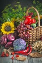 The table, decorated with vegetables, pumpkins and fruits. Harvest Festival, Happy Thanksgiving. Autumn background Royalty Free Stock Photo