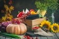 The table, decorated with vegetables, pumpkins and fruits. Harvest Festival, Happy Thanksgiving. Autumn background Royalty Free Stock Photo