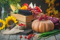 The table, decorated with vegetables, pumpkins and fruits. Harvest Festival, Happy Thanksgiving. Autumn background Royalty Free Stock Photo