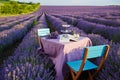 Table decoration in lavender flowers. Royalty Free Stock Photo