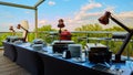 Table with dishware and shiny marmites waiting for guests. Royalty Free Stock Photo