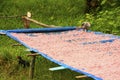 Table with dried shrimp in local village, Ream National Park, Ca