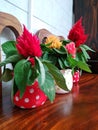 Table flower pots