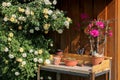 Table with flower pots for planting Royalty Free Stock Photo