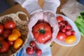 Age woman holding a large ripe tomato in her hands Royalty Free Stock Photo