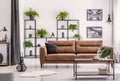 Table in front of brown leather couch in white apartment interior with posters and plants. Real photo Royalty Free Stock Photo