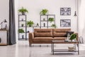 Table in front of brown sofa in white living room interior with plants and posters. Real photo Royalty Free Stock Photo