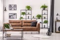 Table in front of leather sofa in white apartment interior with lamp, posters and plants. Real photo Royalty Free Stock Photo