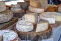 A table full of cheese with a piece of cheese on top of a log Royalty Free Stock Photo