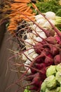 Display of Several Root Vegetables Radishes and Carrots in Brigh Royalty Free Stock Photo