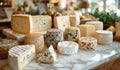 A table full of different types of cheese Royalty Free Stock Photo