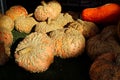 A table full of peanut shell pumpkins in darker lighting Royalty Free Stock Photo