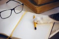 On the table are glasses, a pencil and a notebook, cat reaches for a pencil with his paw