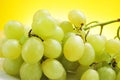 Table grapes Royalty Free Stock Photo