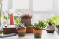 Table with green home plants. A home gardening corner inside of house, apartament. Green air plants, succulents in pots