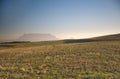 Table Mountain and peaceful green pastures