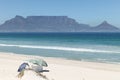 Table Mountain, photographed from Bloubergstrand, Cape Town, South Africa Royalty Free Stock Photo