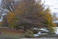 Table near the Llano River in Kerrville Texas