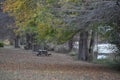 Table near the Llano River in Kerrville Texas