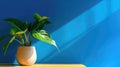 Table with plant in vase against blue wall background. Generative AI Royalty Free Stock Photo