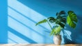 Table with plant in vase against blue wall background. Generative AI Royalty Free Stock Photo