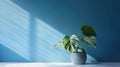 Table with plant in vase against blue wall background. Generative AI Royalty Free Stock Photo