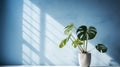 Table with plant in vase against blue wall background. Generative AI Royalty Free Stock Photo