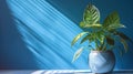 Table with plant in vase against blue wall background. Generative AI Royalty Free Stock Photo