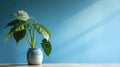 Table with plant in vase against blue wall background. Generative AI Royalty Free Stock Photo