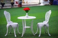 Table with red rose flowers in vase and blank two chair on green grass floor background Royalty Free Stock Photo