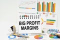 On the table are reports with graphs and a notepad with the inscription - Big Profit Margins