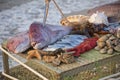 On the table are seafood: big fish, smaller fish, lobsters, mussels, oysters. The table stands on a pebble beach on the surf line